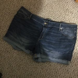 Ava and Viv Midi Shorts